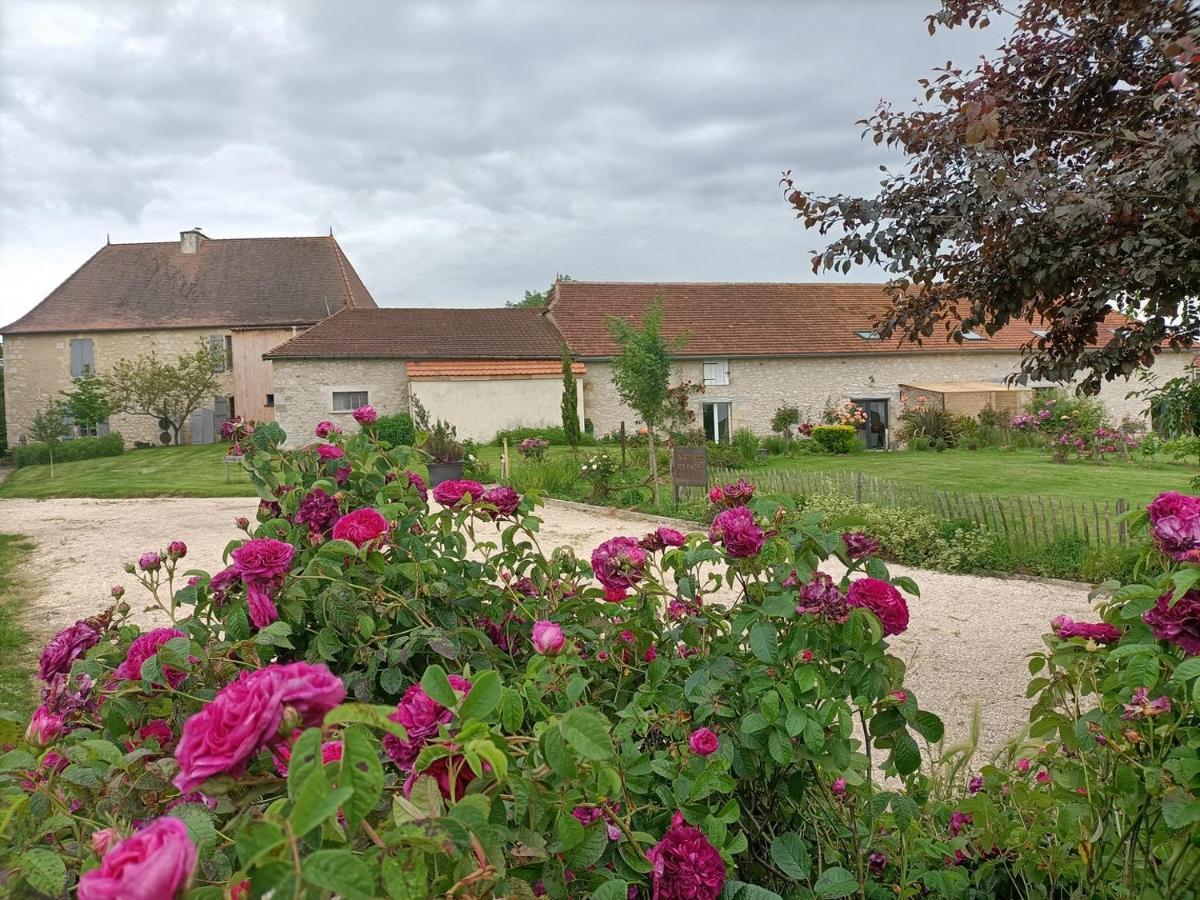 Villa La Grange Des Anges à Blanc  Extérieur photo